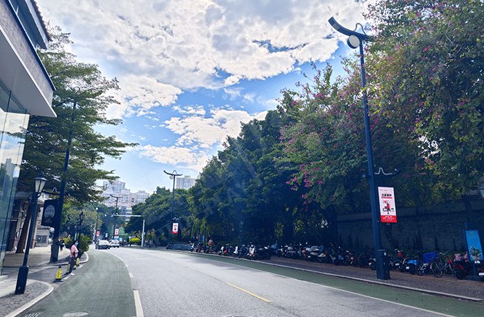 農文旅場景燈桿廣告屏動態信息發布