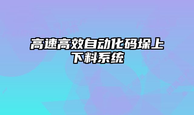 高速高效自動(dòng)化碼垛上下料系統(tǒng)